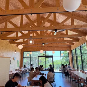 이끼숲소길 리뷰 사진