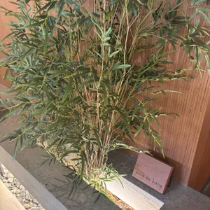 공다방 리뷰 사진