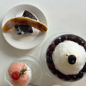 콘드 사진