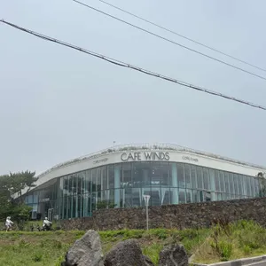 훈데르트윈즈 리뷰 사진