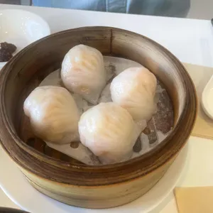 남향티하우스 사진