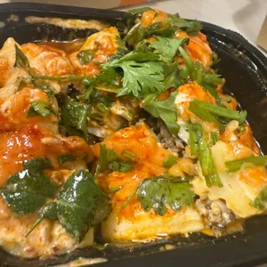 치노 사진