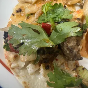 치노 사진