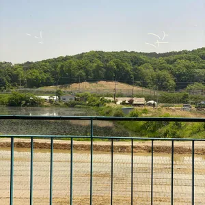 서동본가 리뷰 사진