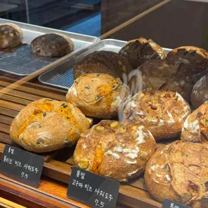 홀브라운 사진