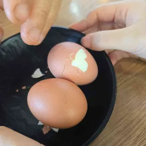 고기냉면 을화옥 사진