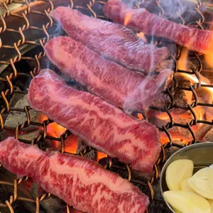 싱싱목장 사진