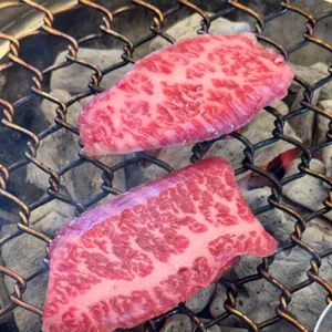 싱싱목장 사진