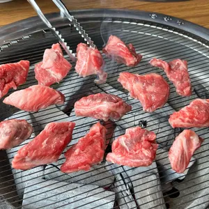 고기여행 사진