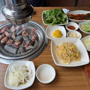 고기여행 사진