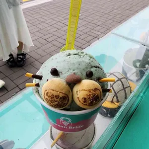 프로즌 브라이드 사진
