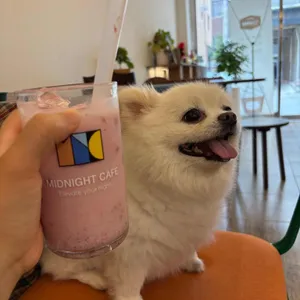 심야카페 사진