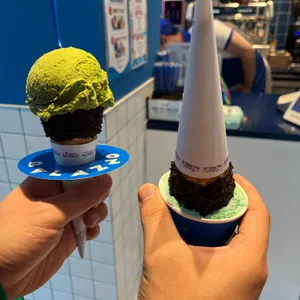 빨라쪼델프레도 사진