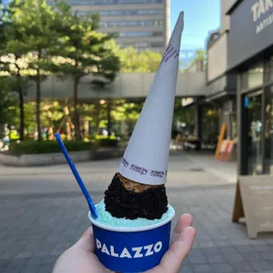 빨라쪼델프레도 사진