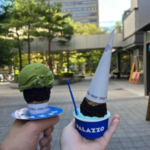 빨라쪼델프레도 사진