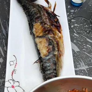싱싱오징어바다 사진