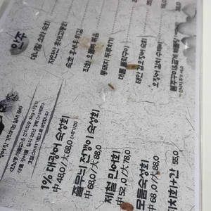 대물섬 리뷰 사진