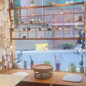당고집 리뷰 사진