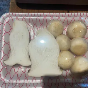 다하누 사진