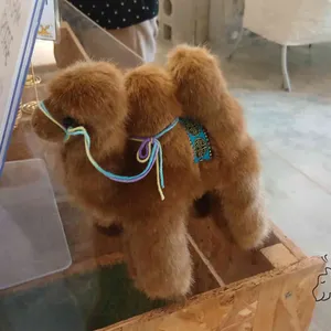 낙타날다 리뷰 사진