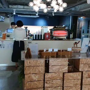 낙타날다 리뷰 사진