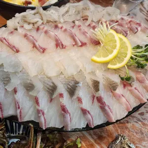 두꺼비 사진