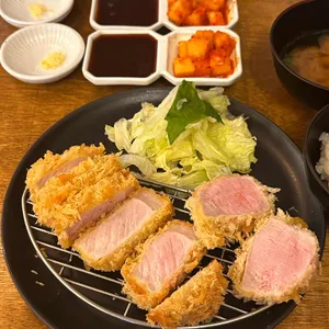 하쿠 사진