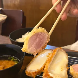 하쿠 사진