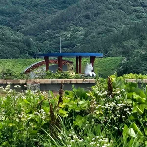 초록언덕 리뷰 사진