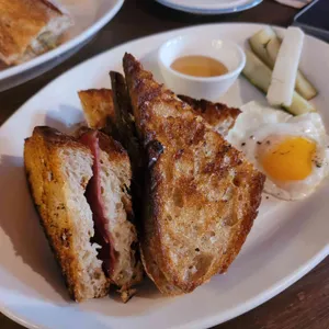 오파토 사진