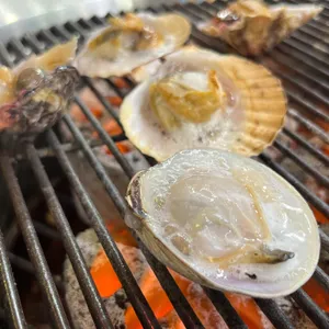배터지는집 사진