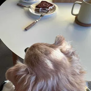 쉬러와 리뷰 사진