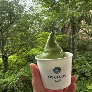 오설록 티 뮤지엄 사진