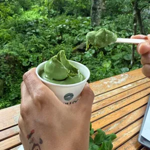오설록 티 뮤지엄 사진