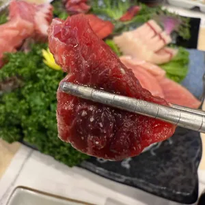 참치자객 사진