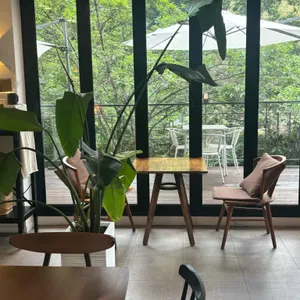리틀포레 리뷰 사진