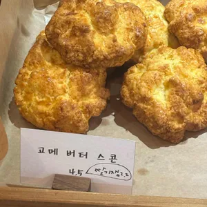 리틀포레 리뷰 사진