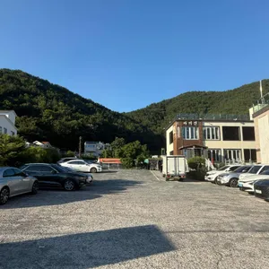 라이진 리뷰 사진
