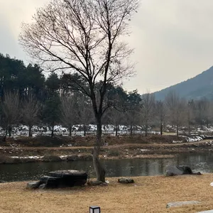 콘크리트정글 리뷰 사진