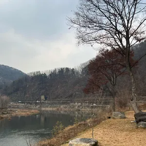 콘크리트정글 리뷰 사진