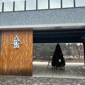 콘크리트정글 리뷰 사진
