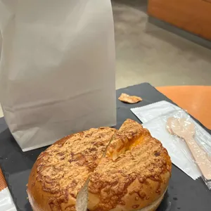 포비 사진