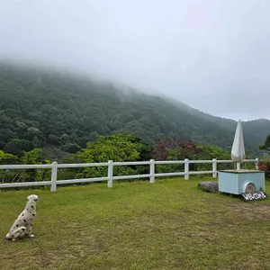 주리485 리뷰 사진