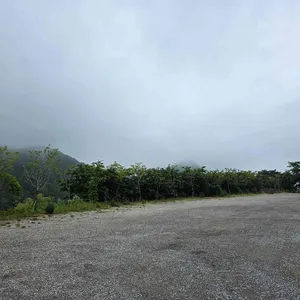 주리485 리뷰 사진