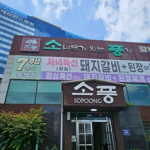 소나무가 있는 풍경 리뷰 사진