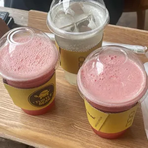 터틀빈 사진