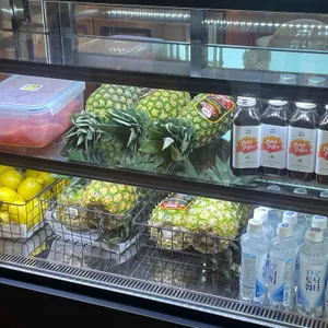 터틀빈 사진