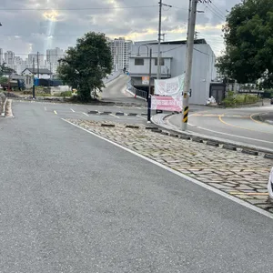 디어율 리뷰 사진