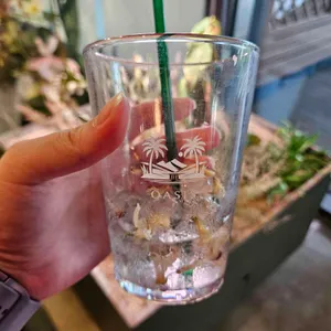 오아시스 사진