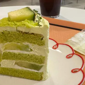터틀힙 사진